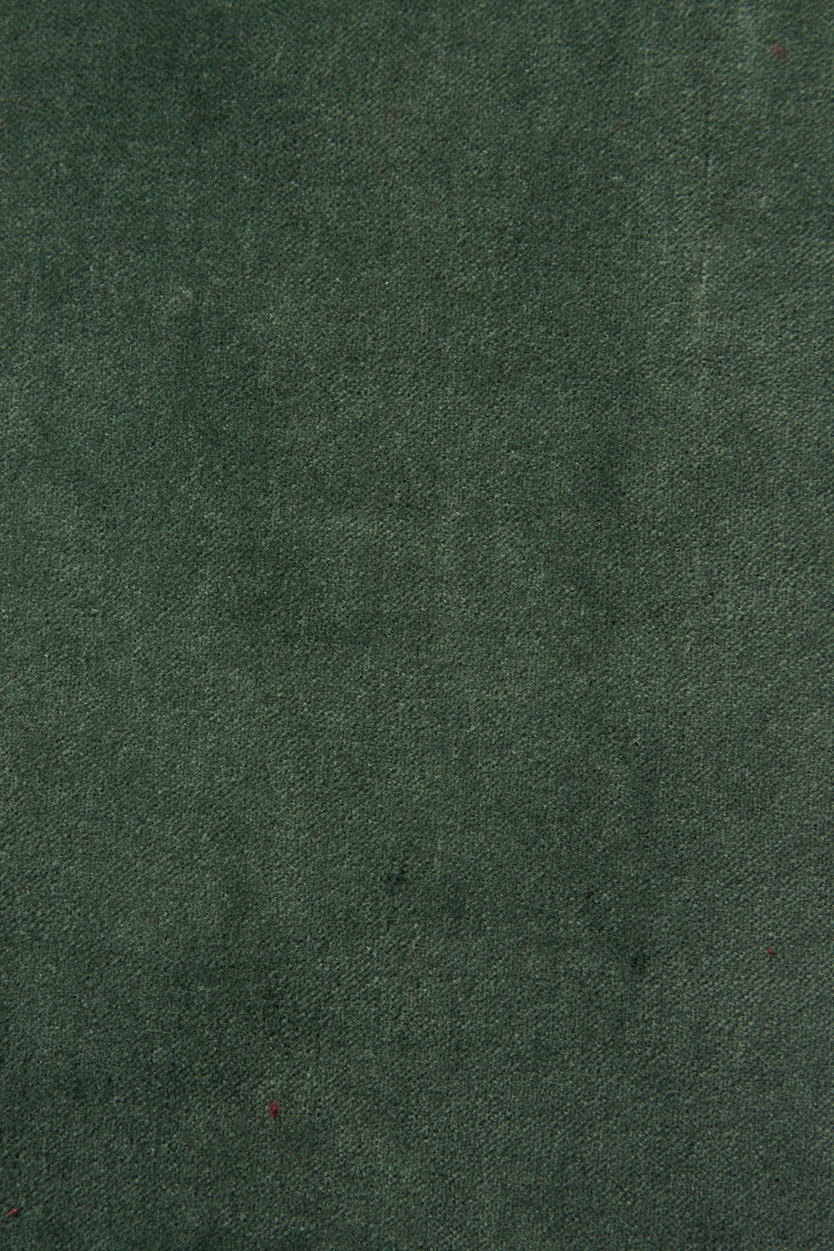 Pantalone Palazzo Velluto
