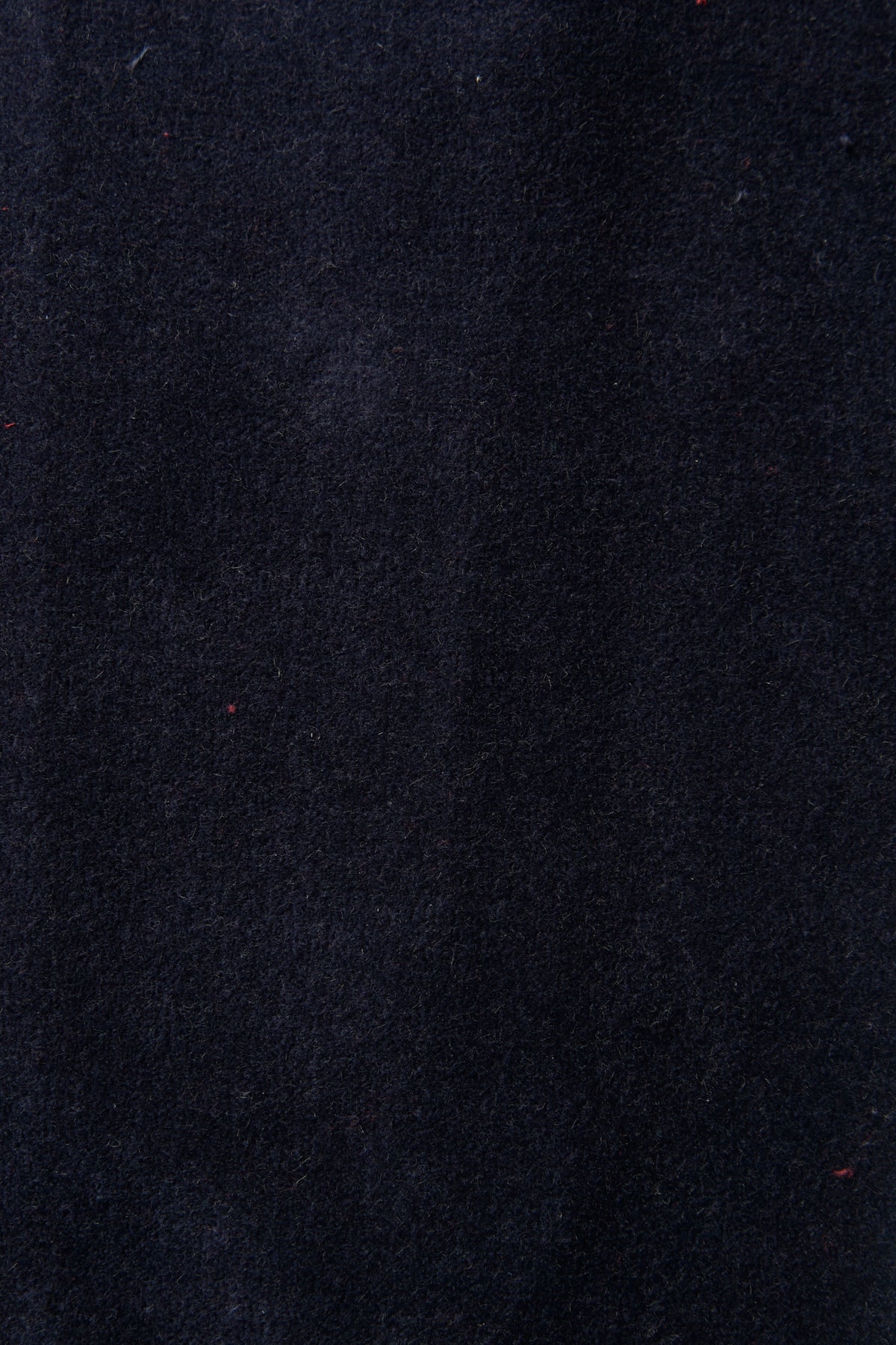 Pantalone Palazzo Velluto