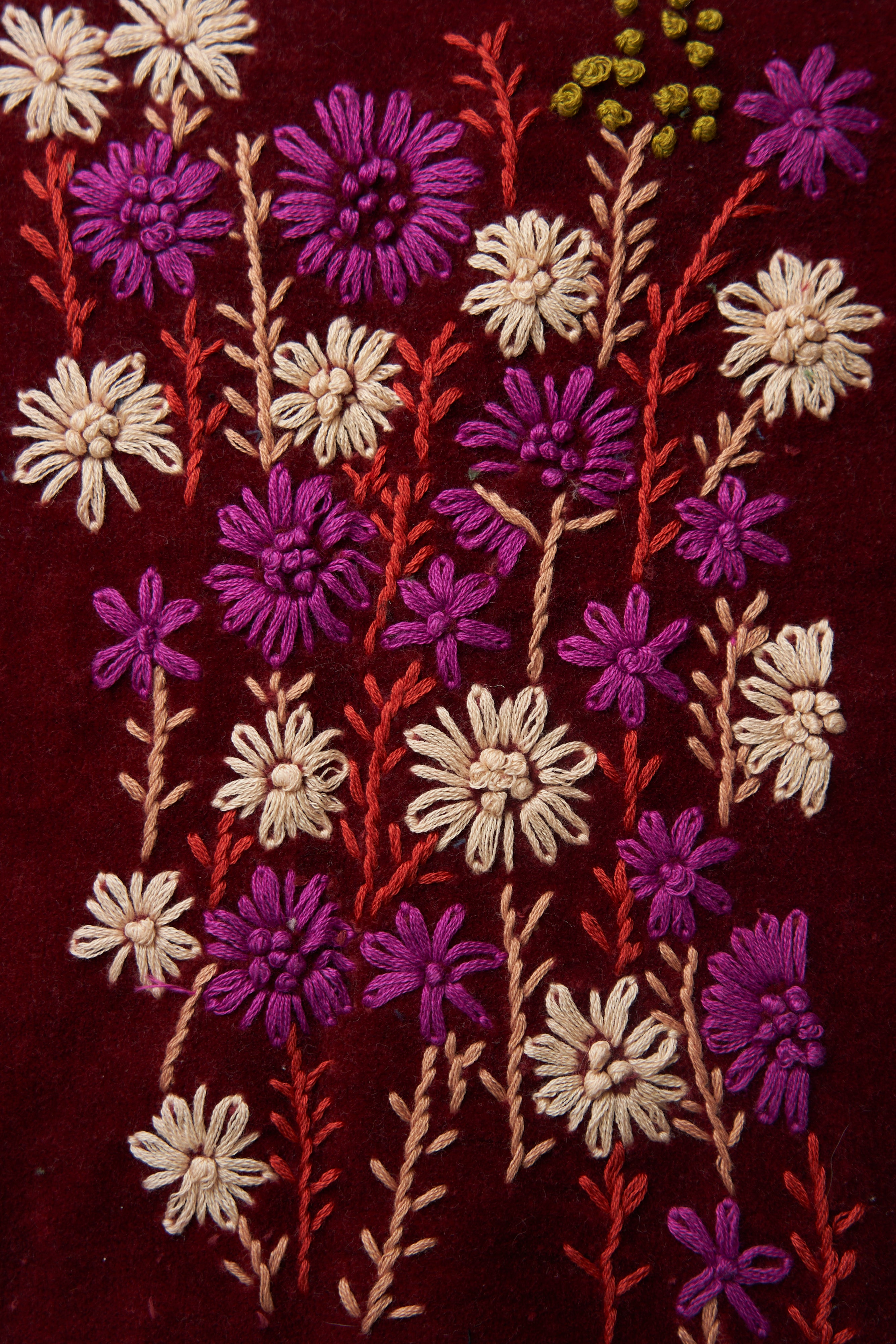 Surgut Velluto Ricamo