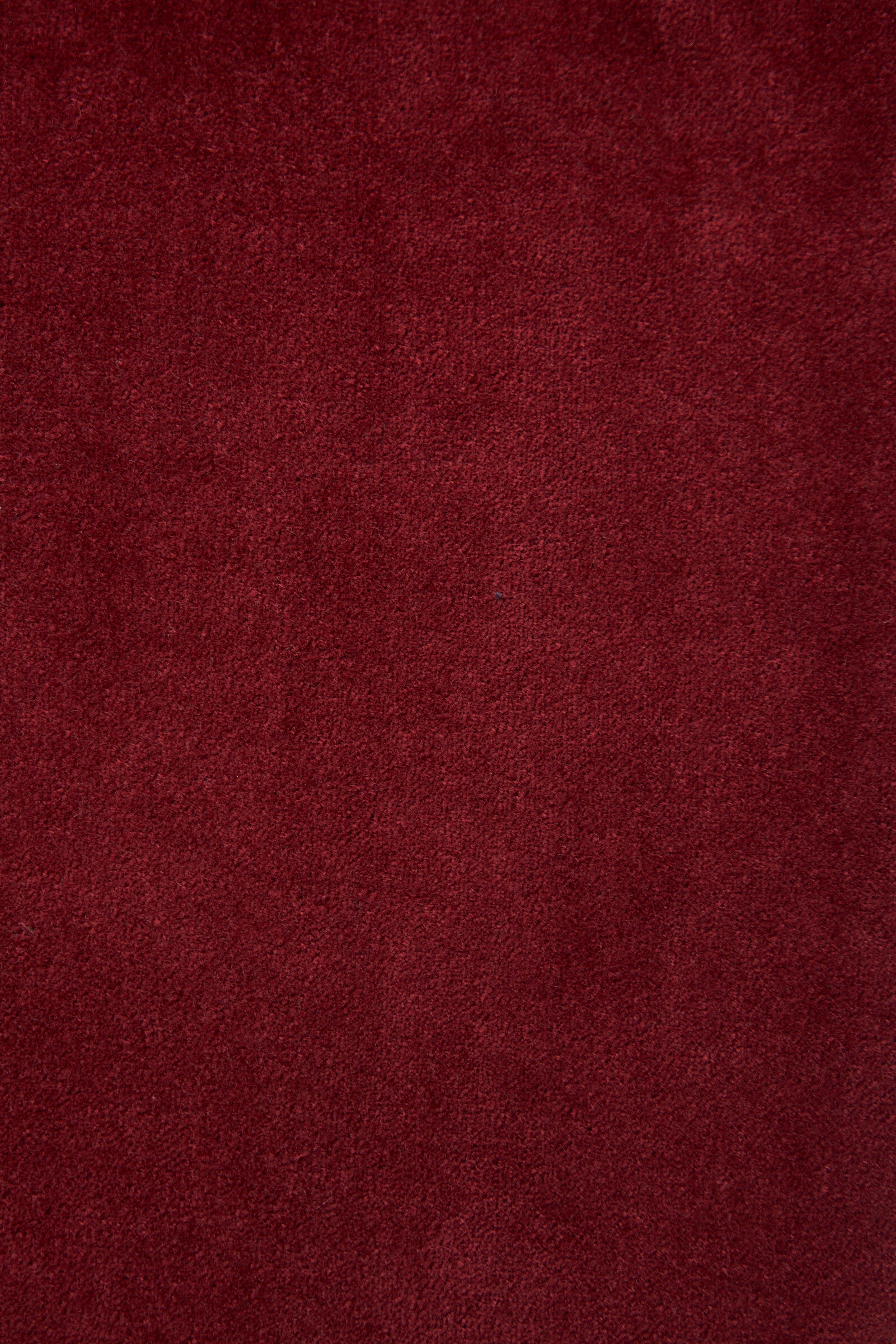 Pantalone Palazzo Velluto