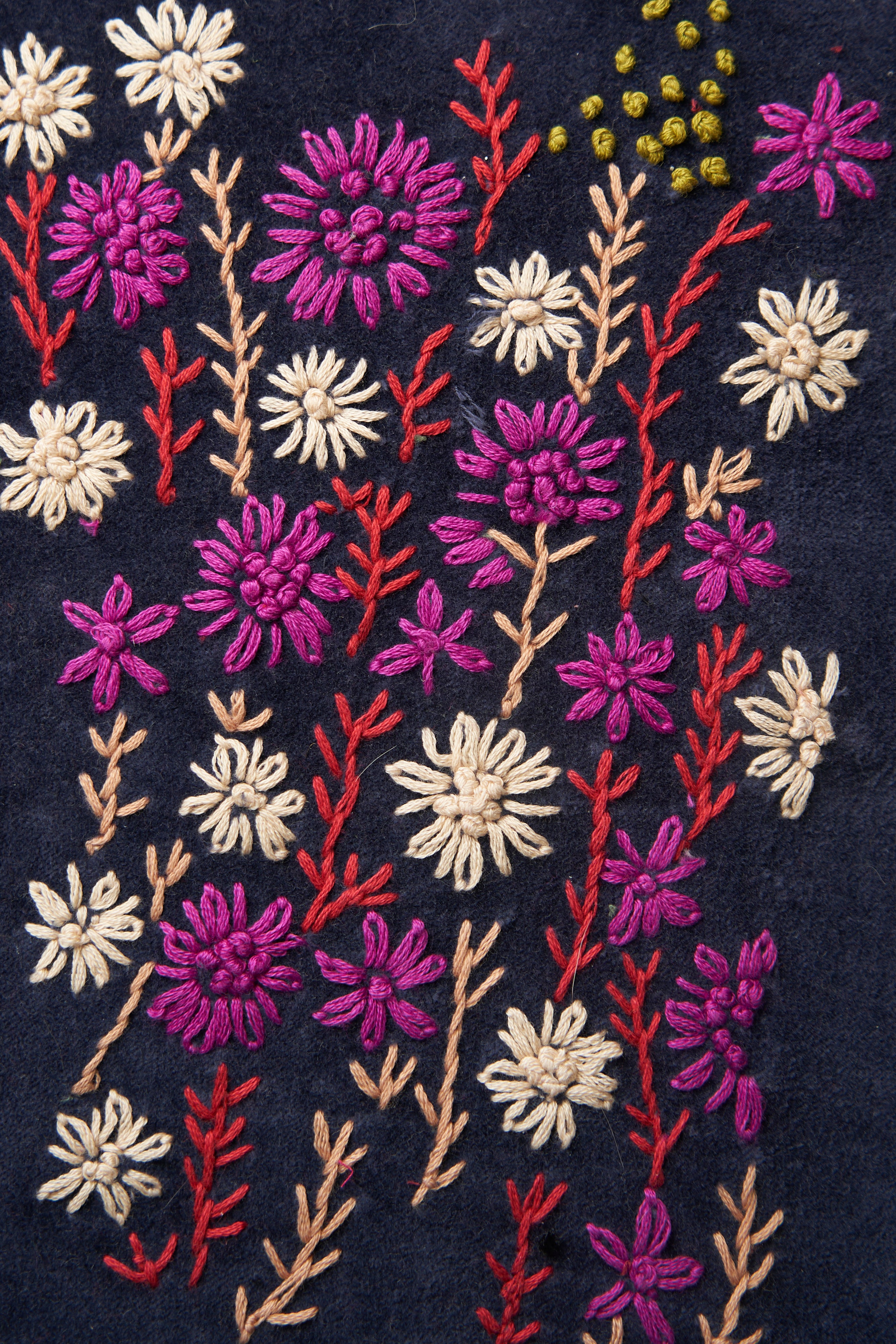 Surgut Velluto Ricamo